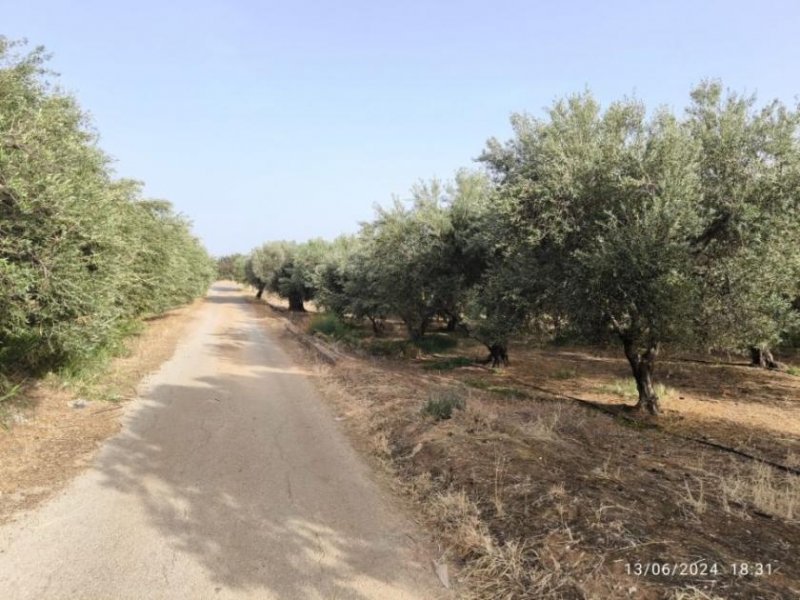 Timpaki Klima Kreta Timbaki außergewöhnliches Baugrundstück Meer- und Bergblick Grundstück kaufen